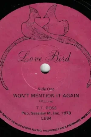 Save Now Wont Mention It Again / Mention Dub