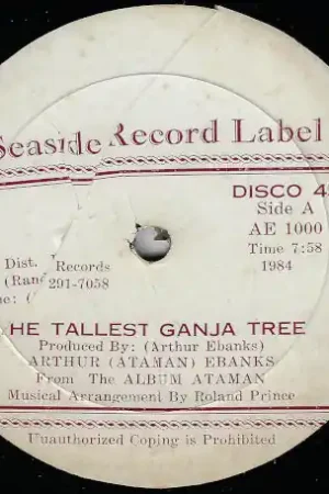Premium The Tallest Ganja Tree / Rastaman Instrumental