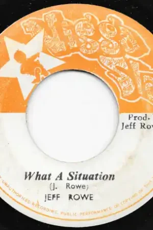 Factory Price What A Situation / Genie Dub