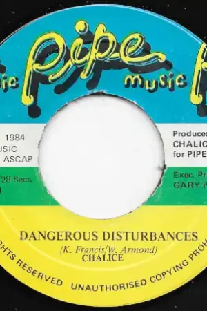 Weekend Sale Dangerous Disturbances / Dangerous Dub