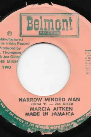 Narrow Minded Man / Broom Stick Ver Must Have