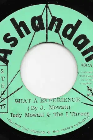 What A Experience / Ver Modern