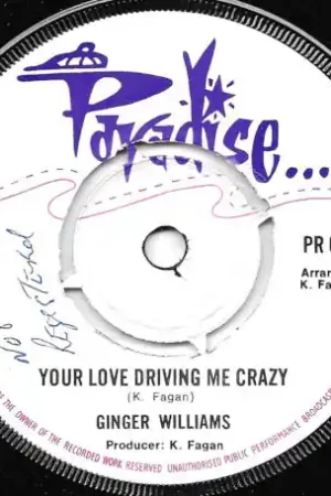 Your Love Driving Me Crazy / Inst Budget