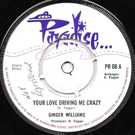 Your Love Driving Me Crazy / Inst Budget