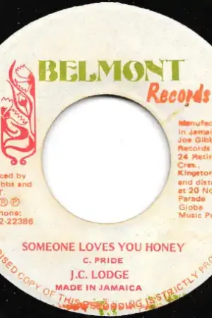 Warranty Included Someone Loves You Honey / Want You To Be My Bride Ver