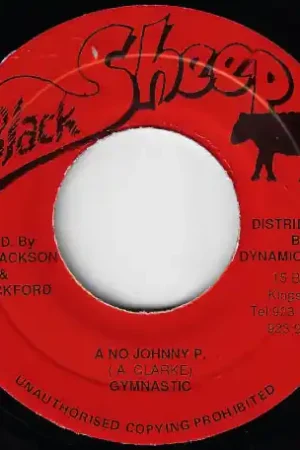 Warranty Included A No Johnny P / Music Alone