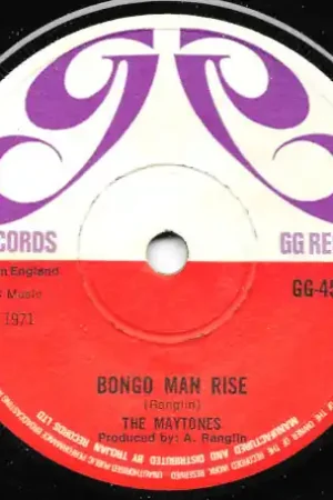 Secure Checkout Bongo Man Rise / Remember