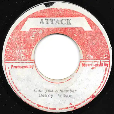 Can You Remember / Badness Dont Pay Must Have