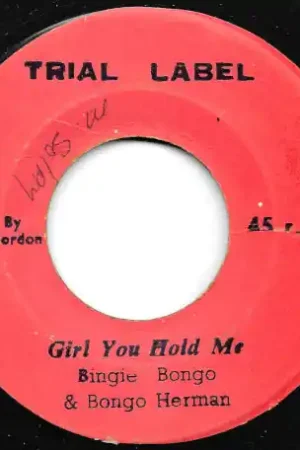 Order Now Girl You Hold Me / Lego Ver