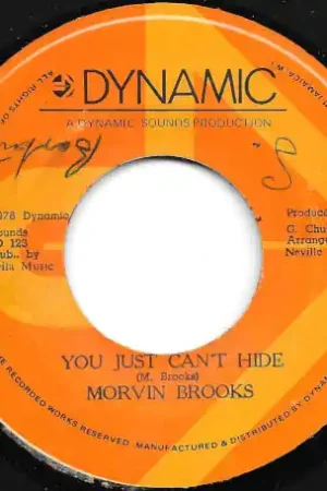You Just Can't Hide / Can't Hide Pt II Final Sale