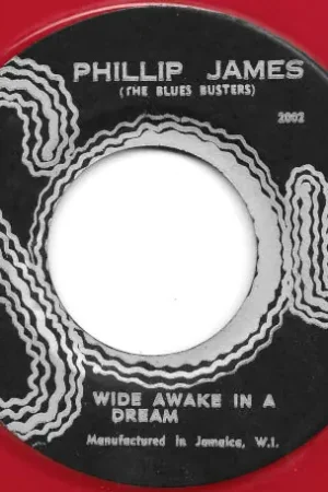 Wide Awake In A Dream / Wings Of A Dove Brand New