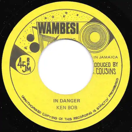 In Danger / Ver Secure Checkout