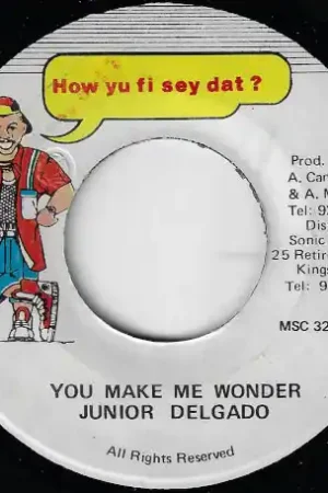 Order Now You Make Me Wonder / Ver