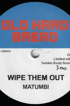 Wipe Them Out / Go Back Home Brand New