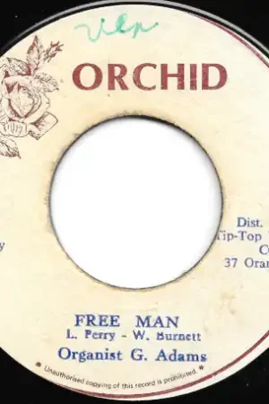I Man Free / Free Man Ver Top Pick