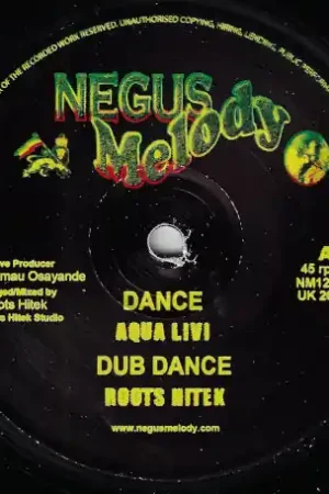 Dance / Dub Dance / Afrikan Tribesman / Tribesman Dub Budget