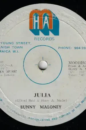 Big Sale Julia / I've Been A Loser