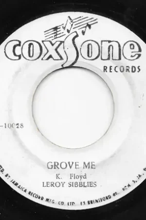 Buy Today Groove Me / Zip Code