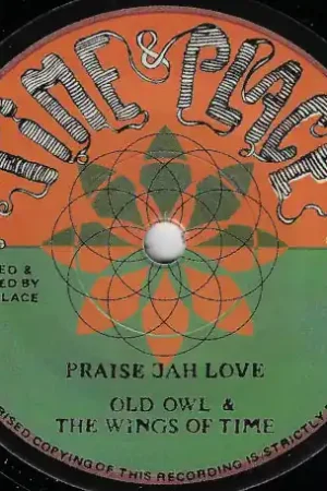 Praise Jah Love / Wisdom Is Drums New Release