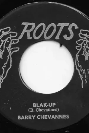 Blak Up / Black So Beautiful Direct From Factory