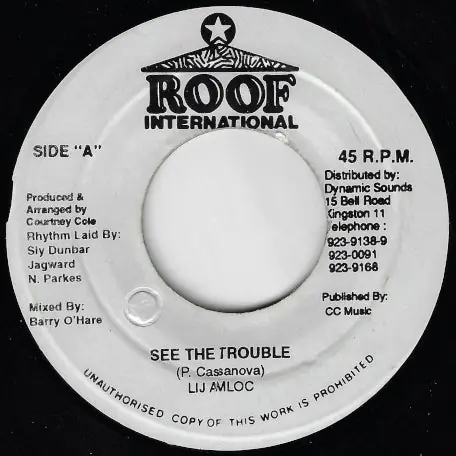 See The Trouble / Ver Secure Checkout