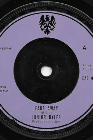 Fade Away / Fading Dub Place Order