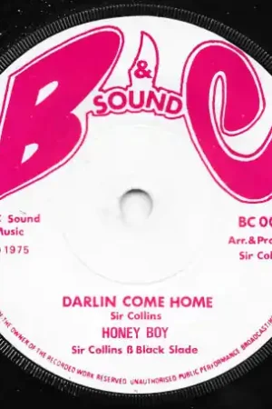 Limited Offer Darlin Come Home / We A Come Dread