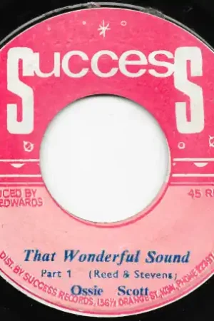 Super Sale That Wonderful Sound / Part 2