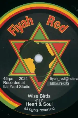 Wise Birds / Dubwise Birds Fan Favorite