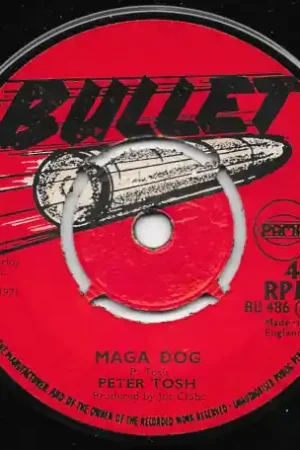 Maga Dog / Bull Dog Luxury