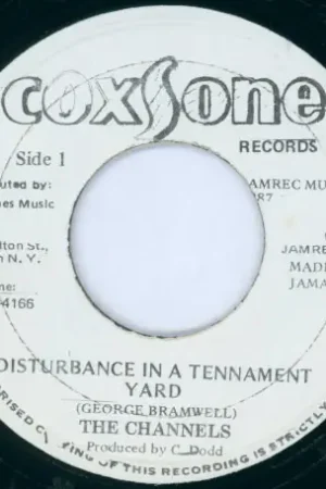 Hot Deal Disturbance In A Tenement Yard / Disturbance