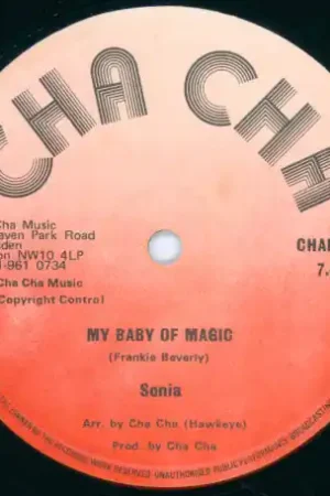 Wholesale My Baby Of Magic / Nigril Swamp Rock