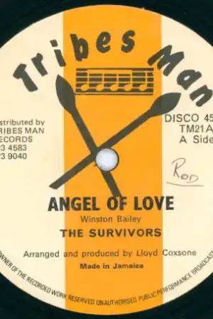 Angel Of Love / Fashion Rock Budget