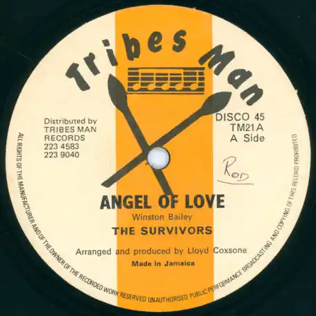 Angel Of Love / Fashion Rock Budget