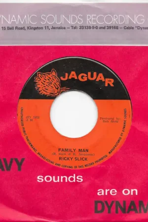 Brand New Family Man / Ver