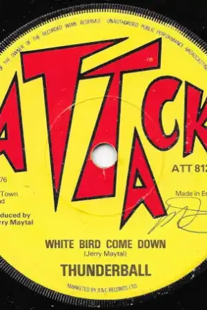 Save Now White Bird Come Down / Ver