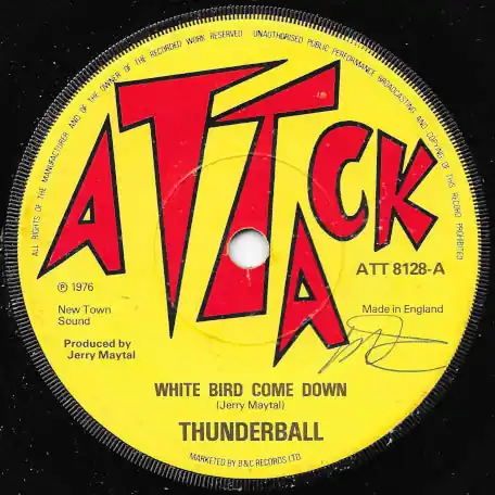 Save Now White Bird Come Down / Ver