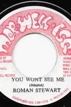Time-Limited You Won't See Me / Ver