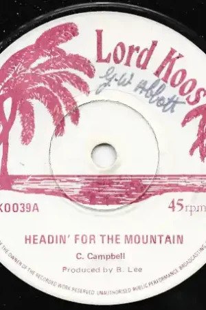 Headin' For The Mountain / Ver In Demand
