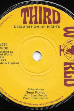 Get Yours Declaration Of Rights / Buggis Mood
