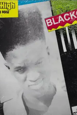 Sky High And The Mau Mau Presents Blackout Factory Price