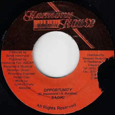 Super Sale Opportunity / Rhythm
