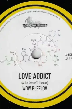 Love Addict / Dub Addict Bargain