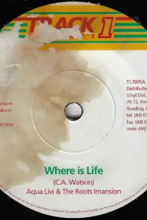 Get Yours Where Is Life / Hes My Guide
