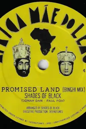 Promised Land (Binghi Mix) / Promised Land (Stepper Mix) Hassle-Free Returns