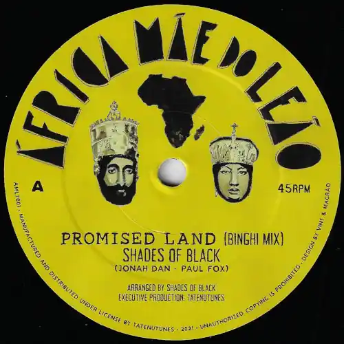 Promised Land (Binghi Mix) / Promised Land (Stepper Mix) Hassle-Free Returns