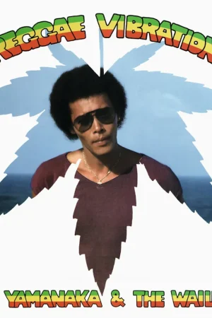 Today Only Reggae Vibration