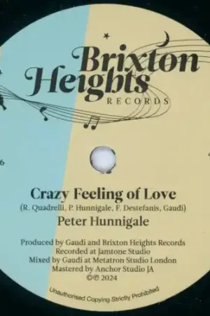 Crazy Feeling Of Love / Caruggi Jazz Ver Buy Online
