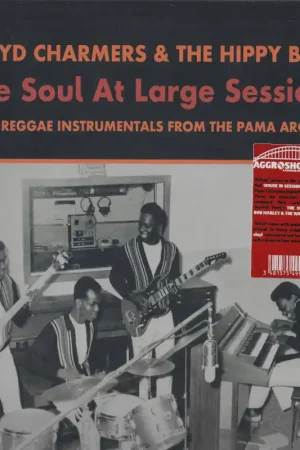 Luxury THE SOUL AT LARGE SESSIONS Boss Reggae Instrumentals From The Pama Arc