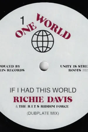 If I Had This World / World Horns Factory Price